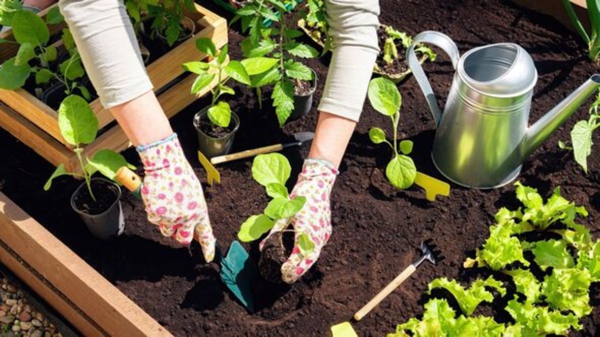 Gardening Tips 1