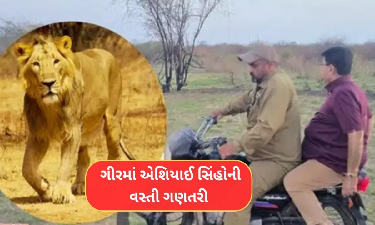 Gujarat Asiatic lion census 1 2