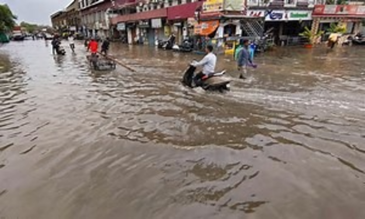 Gujarat Unseasonal Rains 1