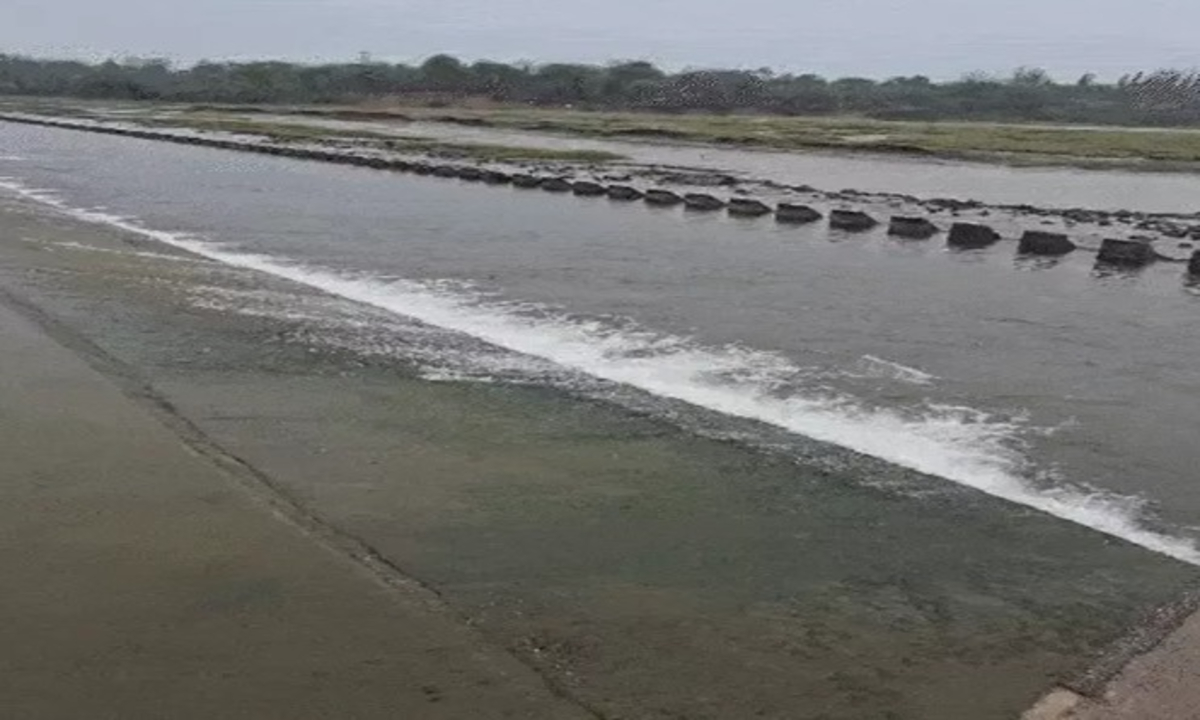 Gujarat Heavy Rain Alert