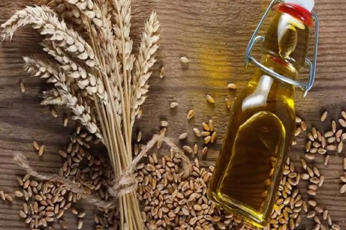 High quality oil from wheat 1
