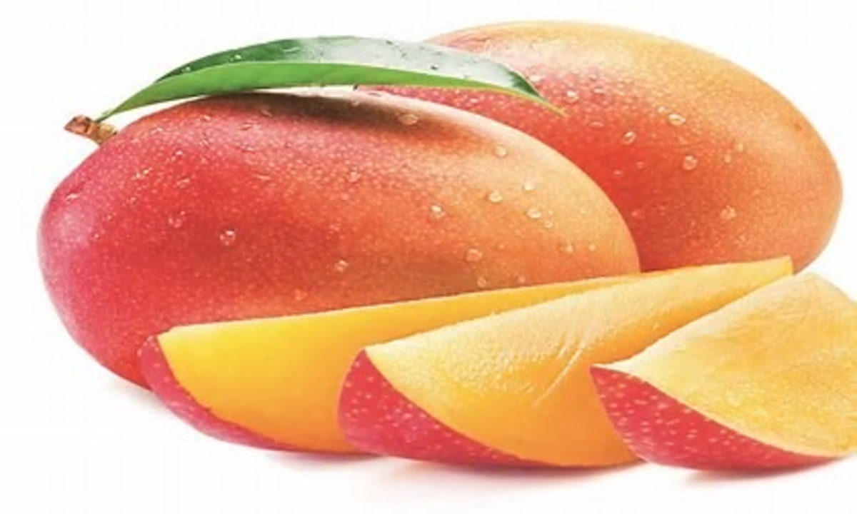 India Mango Export Rejected By Us