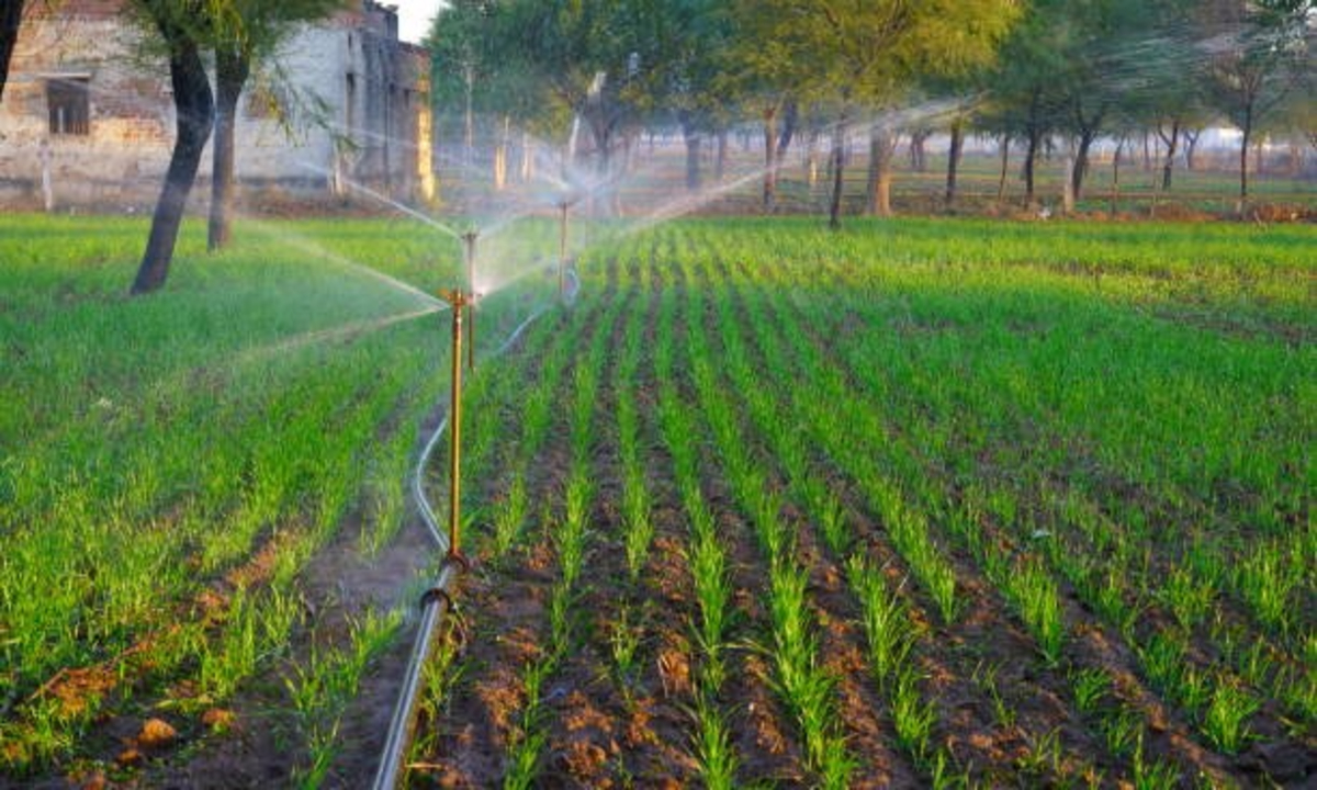 Irrigation With Saline Water