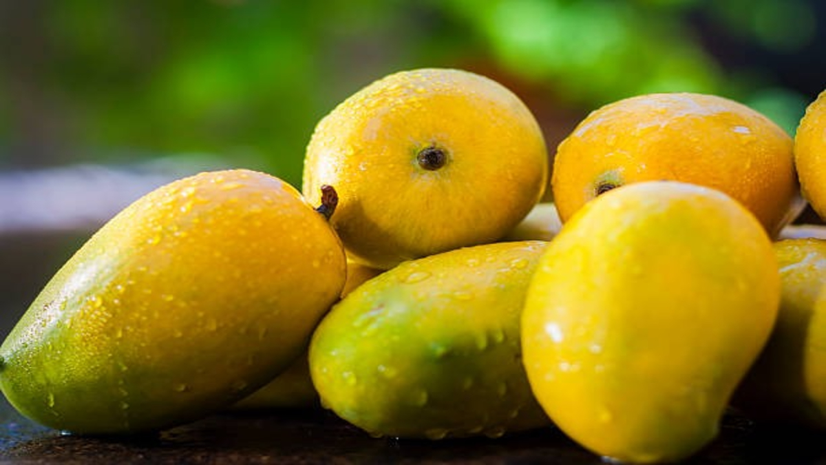 Mango Recipes