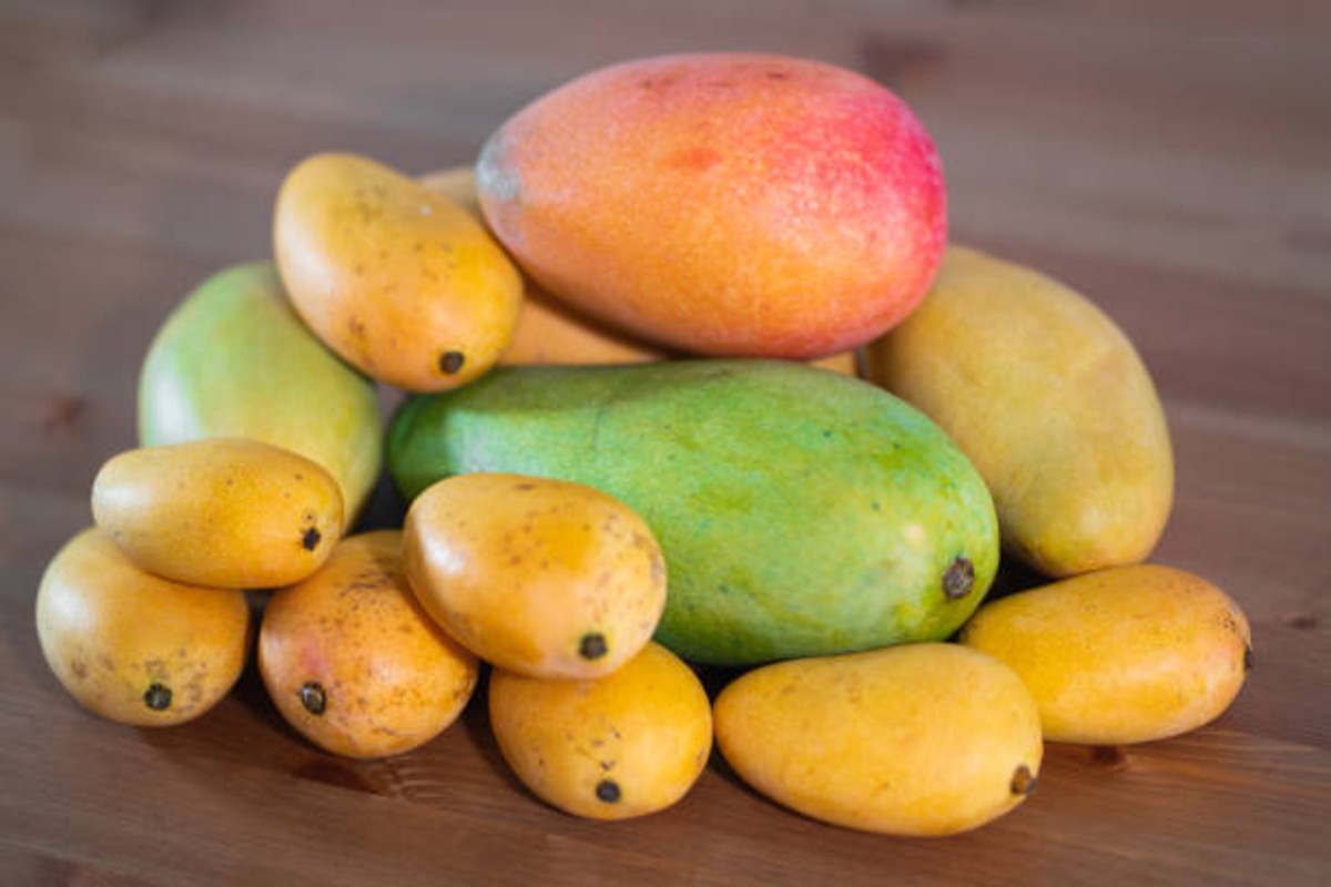 Mango Variety
