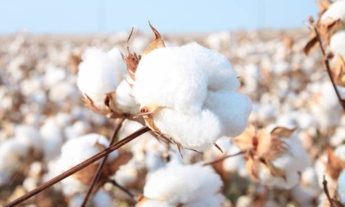 Modern Techniques in Cotton Production 1