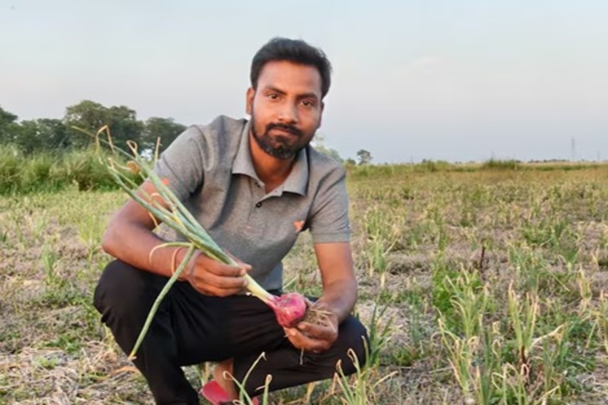 Natural Onion Farming