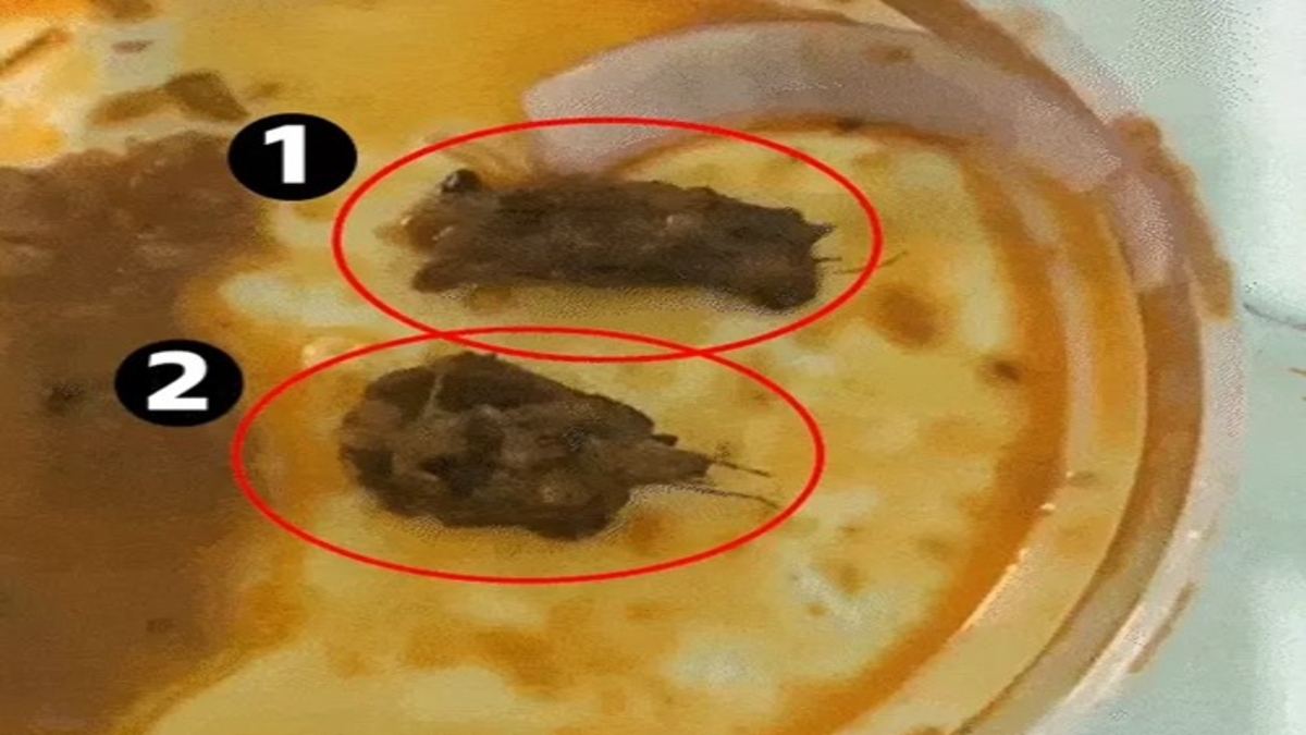 Online food order worms found 1