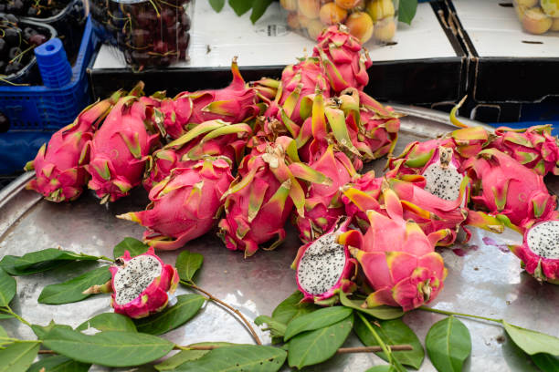 Organic dragon fruit cultivation