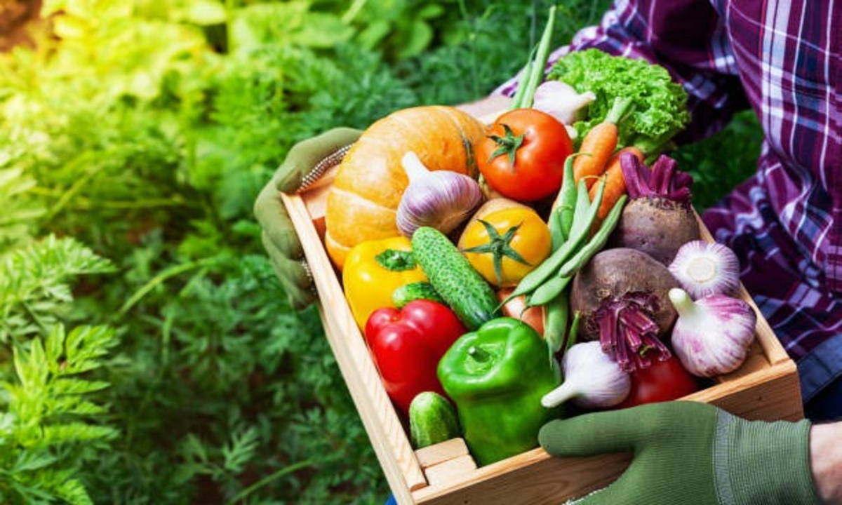 Organic farming techniques 1