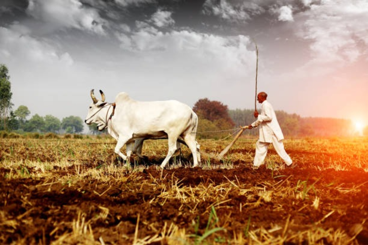 PM Kisan 20th Installment 1
