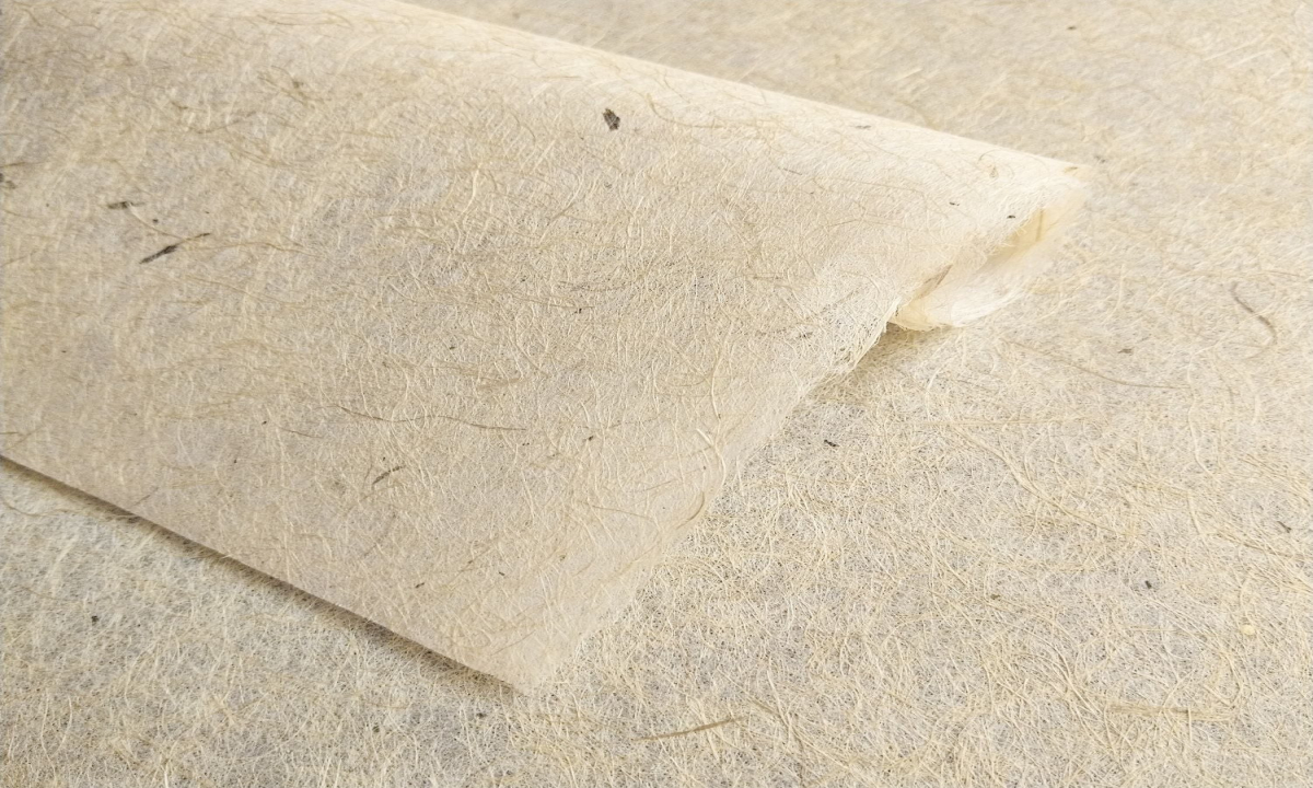 Paper from hemp waste 1