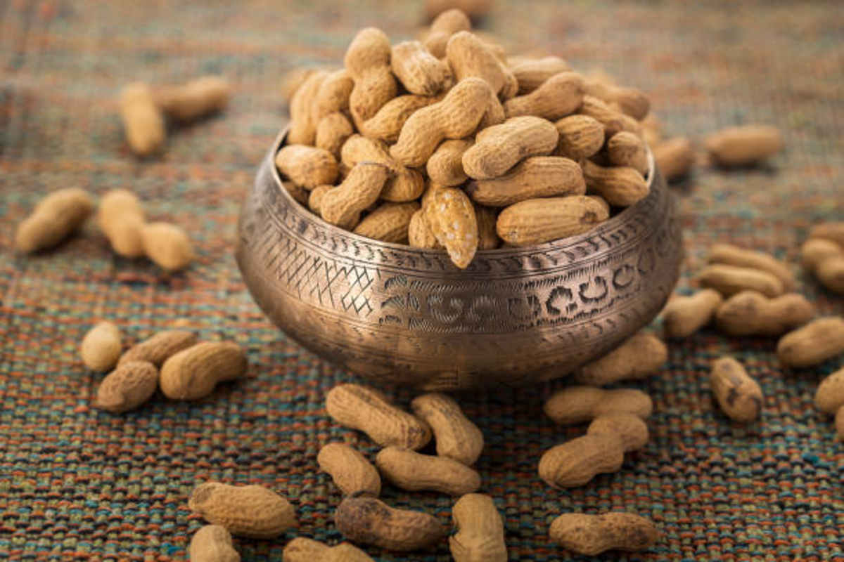 Peanut Farming 1