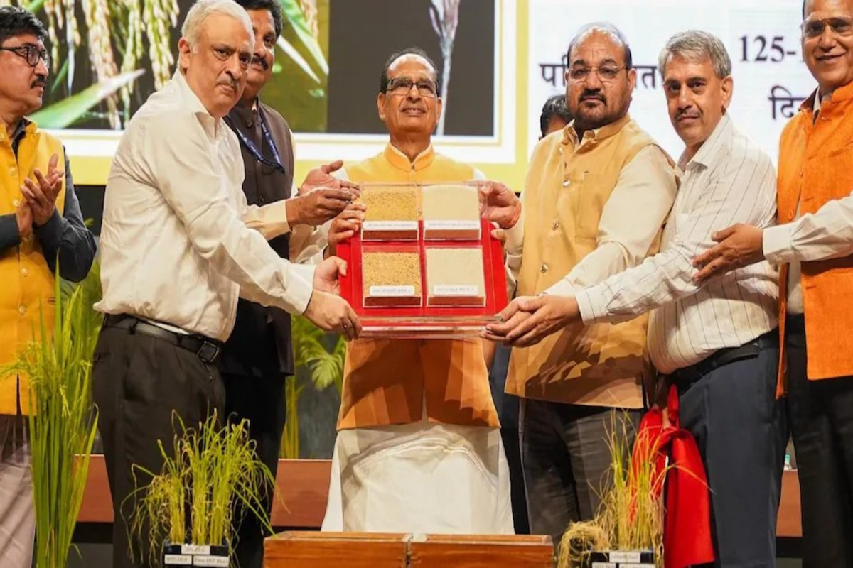 Rice varieties launched 1
