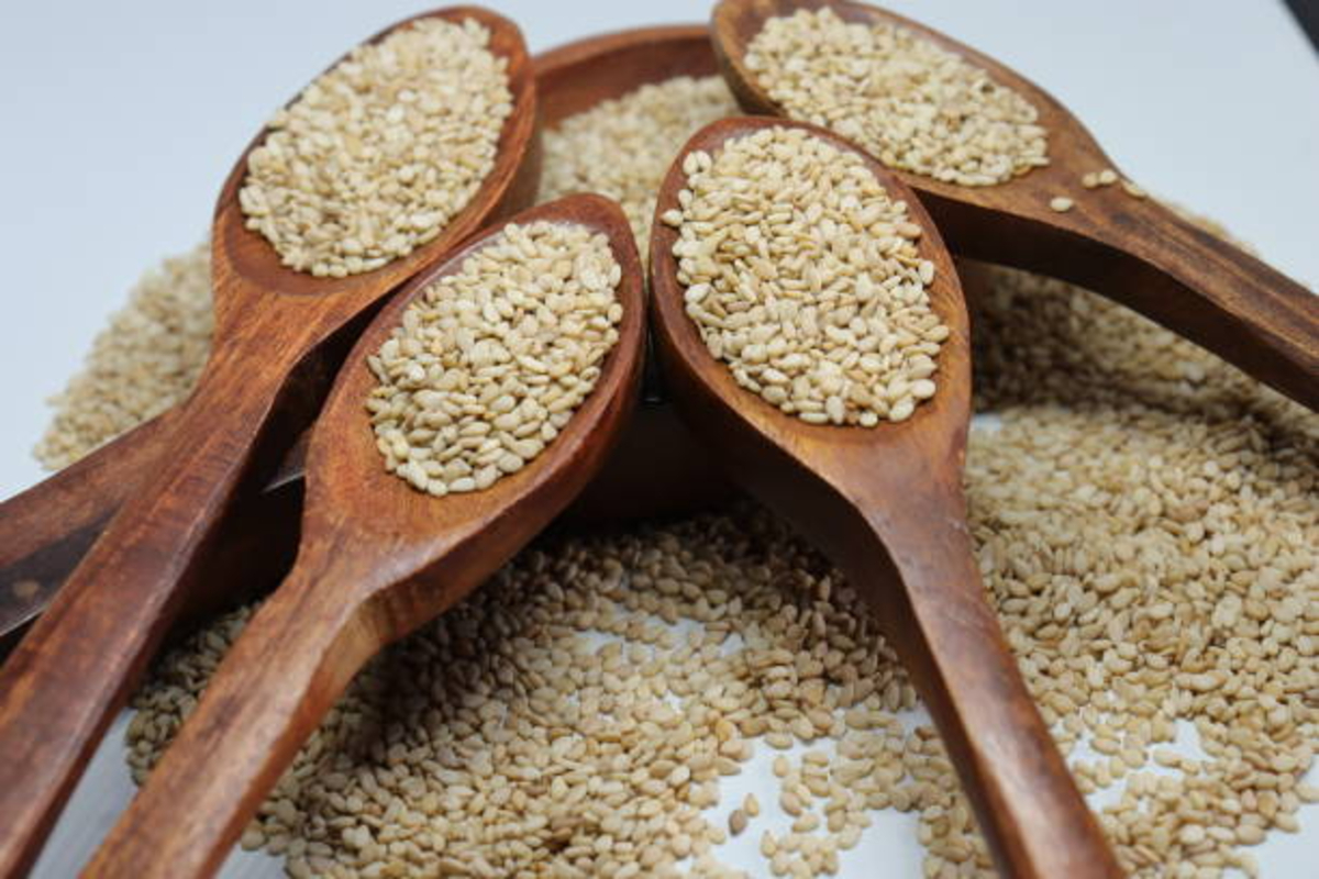 Sesame farming 1