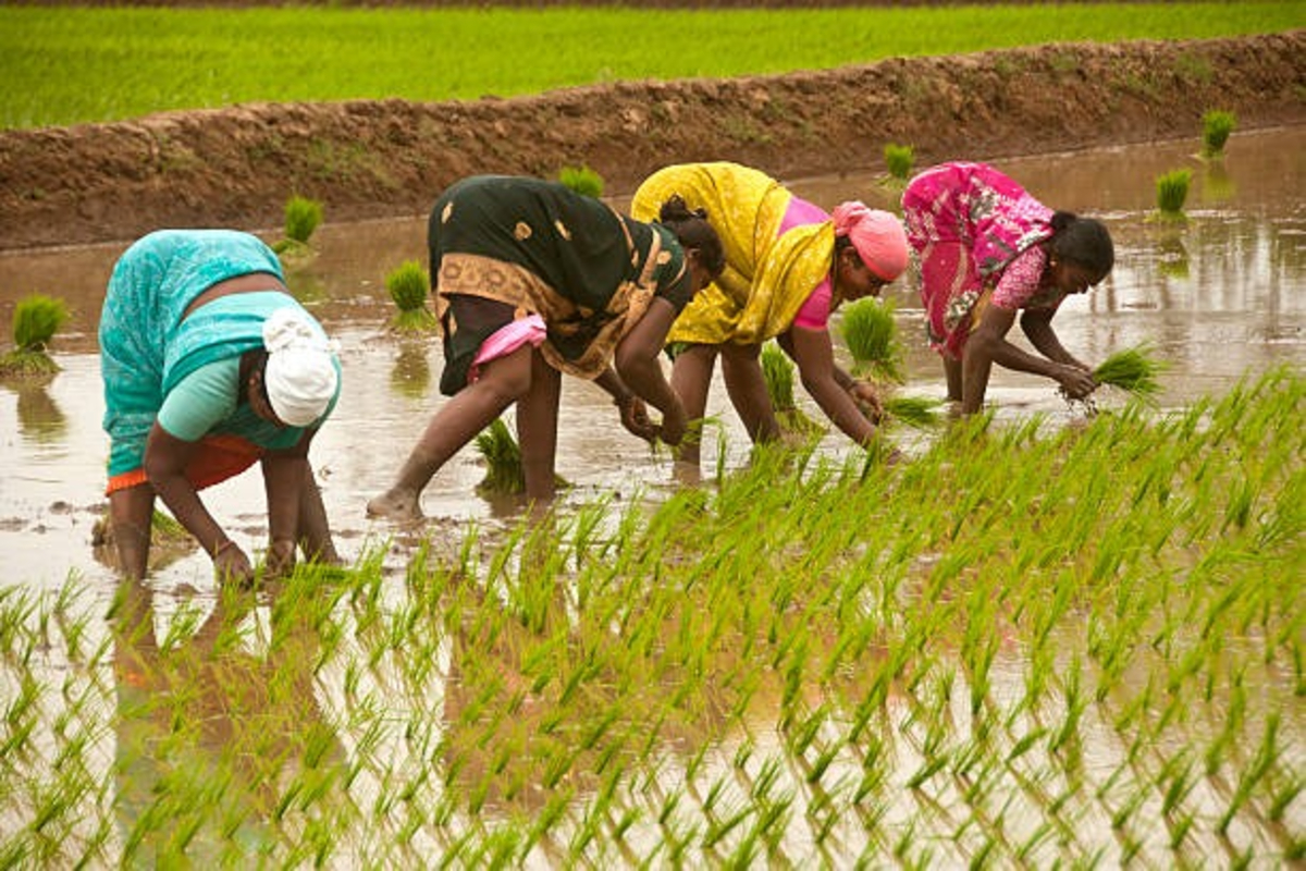 Side business ideas for farmers in India 1