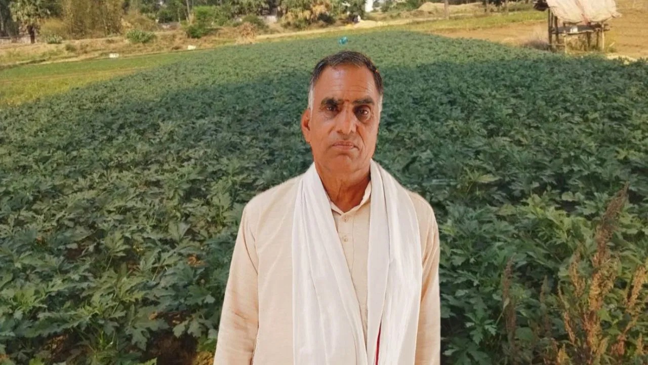 Tomato farming success story 1