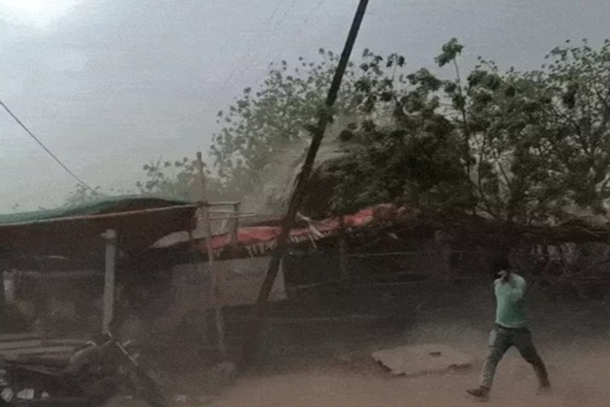 Unseasonal Rain and Storm in Gujarat 1