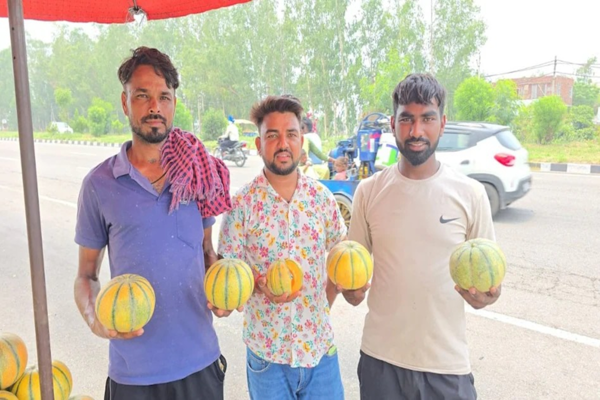 Watermelon Farming Karnal