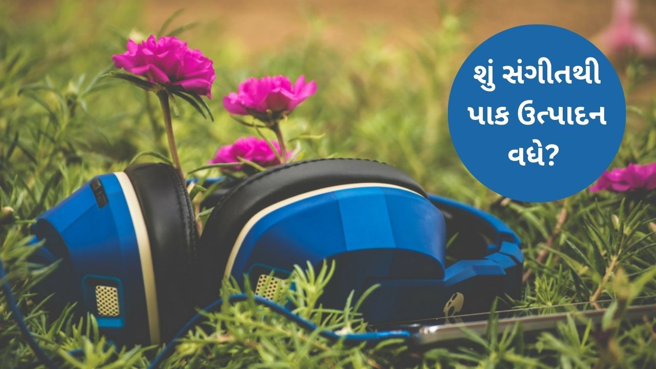 Musical Farming