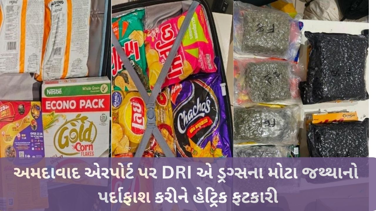 DRI Hydroponic Cannabis