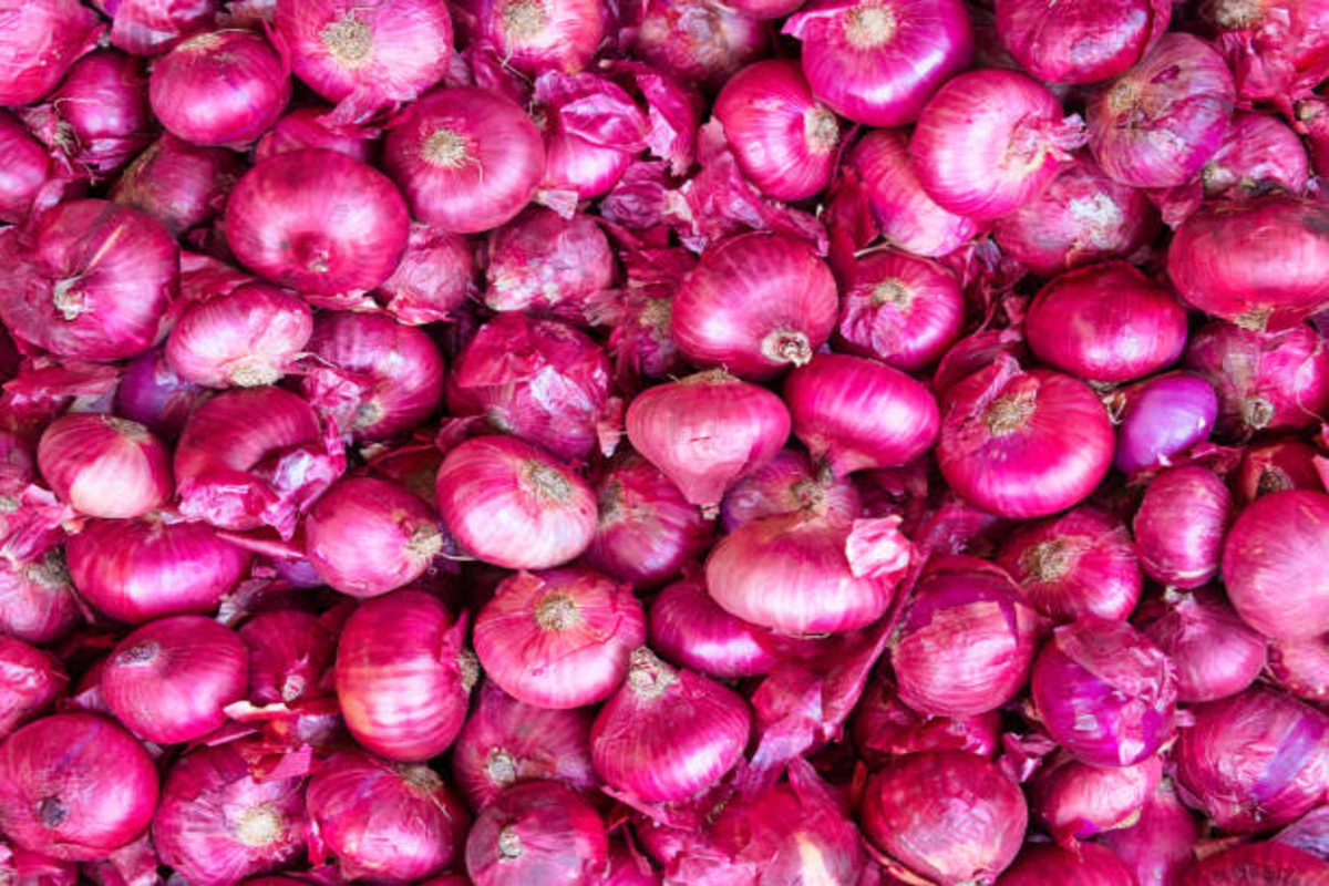 long term onion storage tips 1