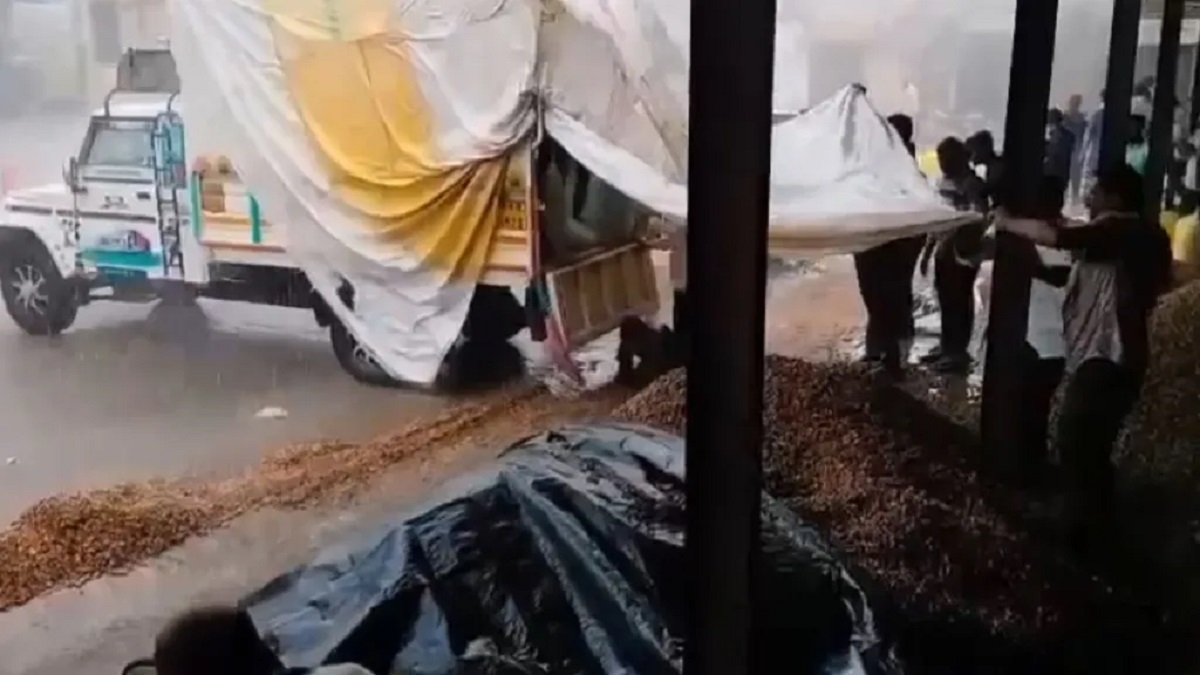 Viral Video