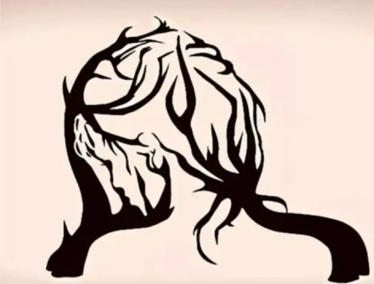 Optical Illusion.1 Satya Day