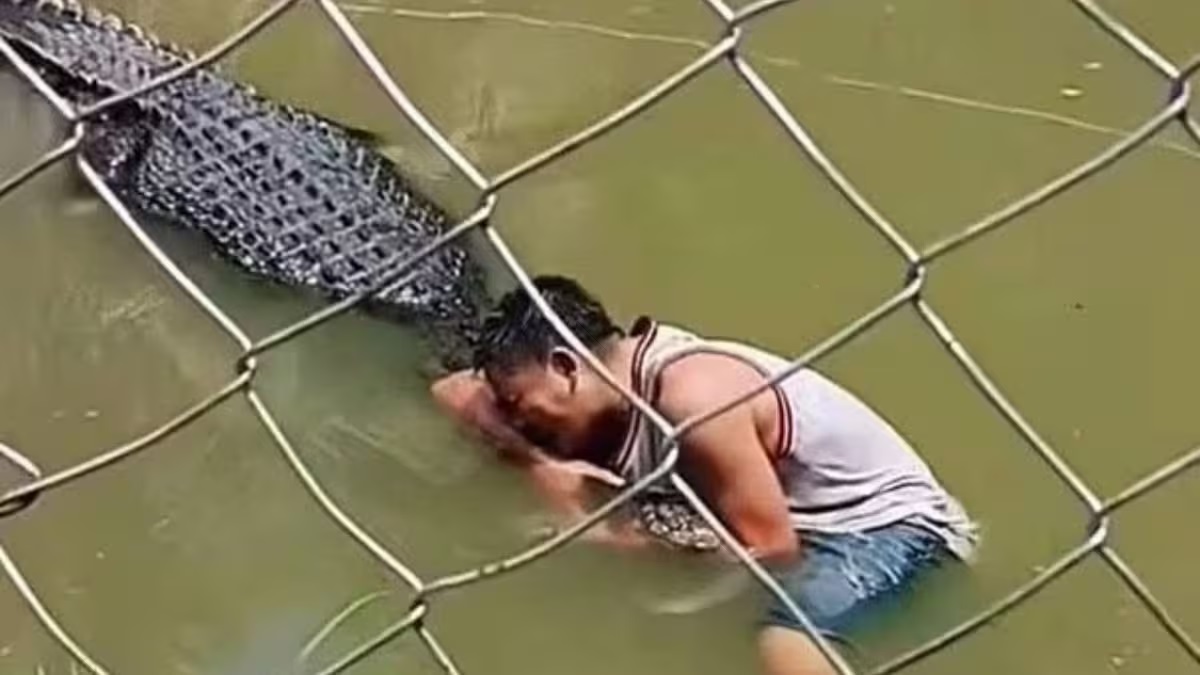 viral video