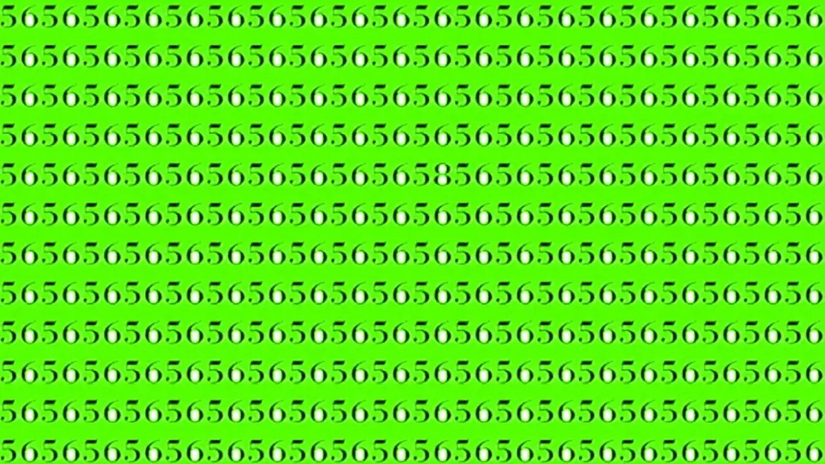 Brain Test