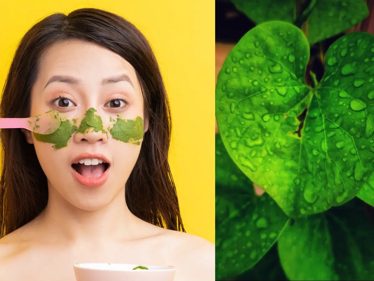 Skin Care