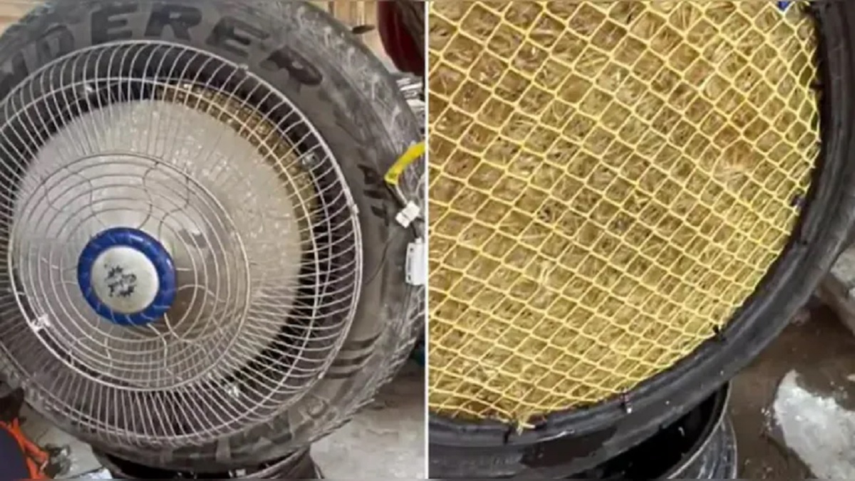 Viral Fan Jugaad Video