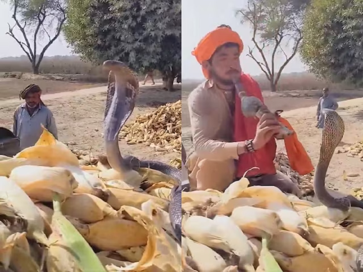 Viral Video