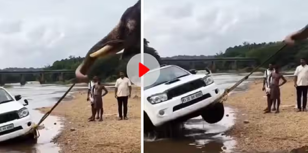 Viral Video
