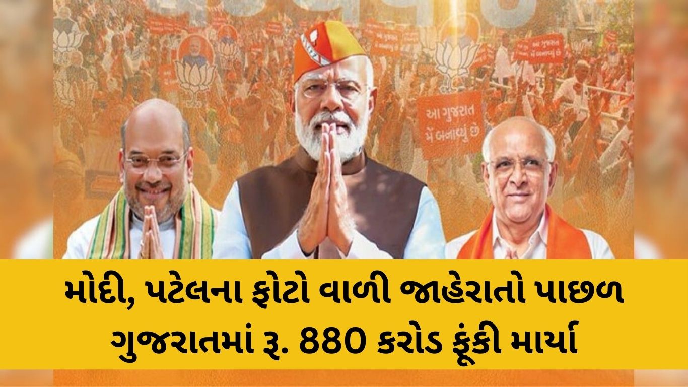 જાણો કેટલી લીચી ખાવી યોગ્ય નહિ તો સ્વાસ્થ્યને થઈ શકે નુકસાન 17 1