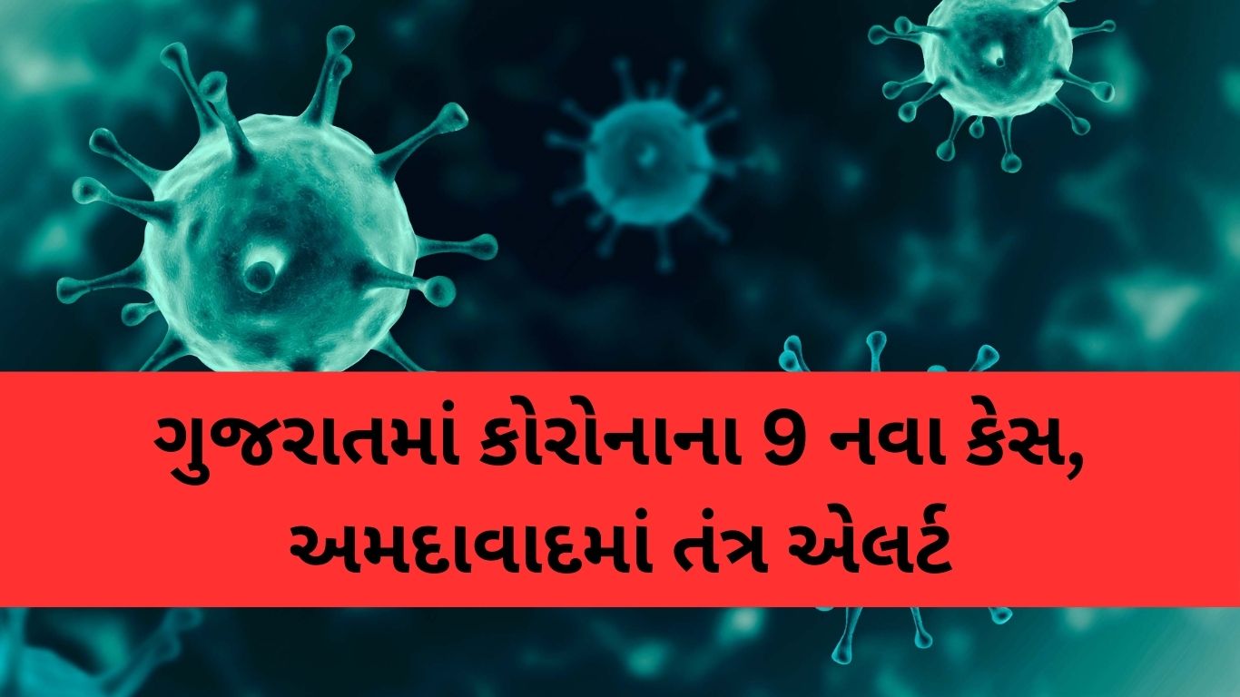 જાણો કેટલી લીચી ખાવી યોગ્ય નહિ તો સ્વાસ્થ્યને થઈ શકે નુકસાન 30 1 Satya Day
