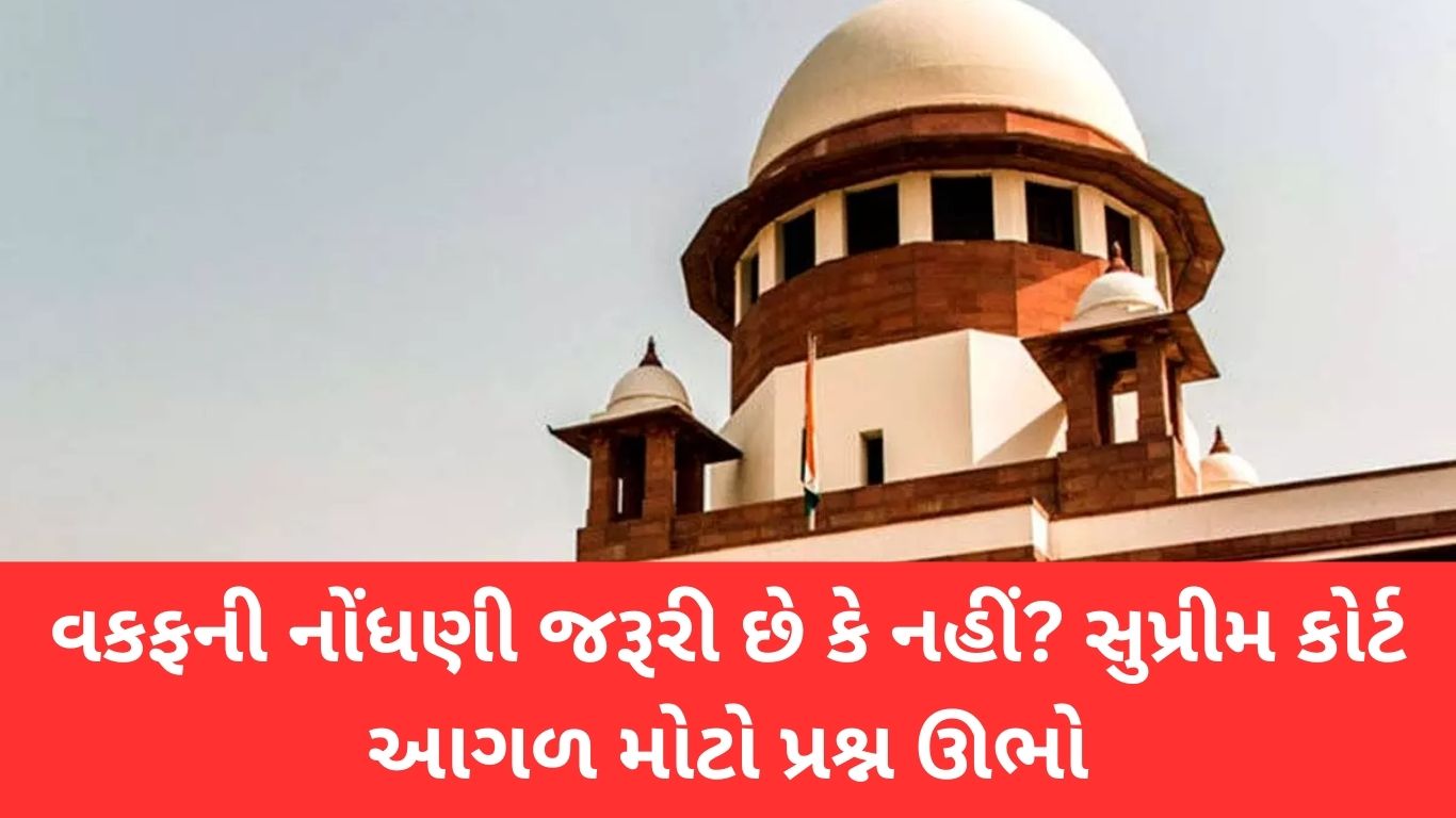 જાણો કેટલી લીચી ખાવી યોગ્ય નહિ તો સ્વાસ્થ્યને થઈ શકે નુકસાન 31 1 Satya Day