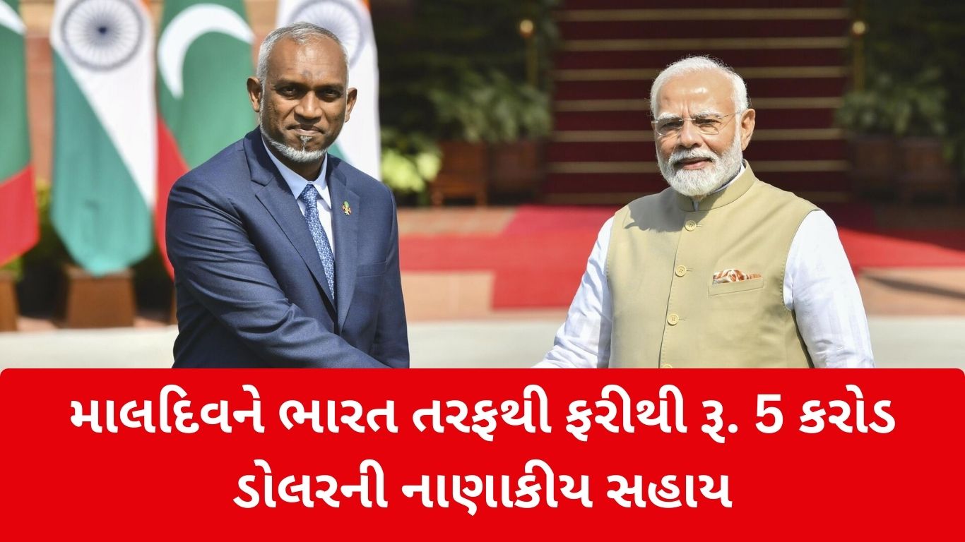 જાણો કેટલી લીચી ખાવી યોગ્ય નહિ તો સ્વાસ્થ્યને થઈ શકે નુકસાન 4