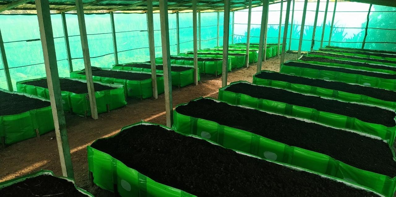 ₹4 Lakh from Vermicompost 1