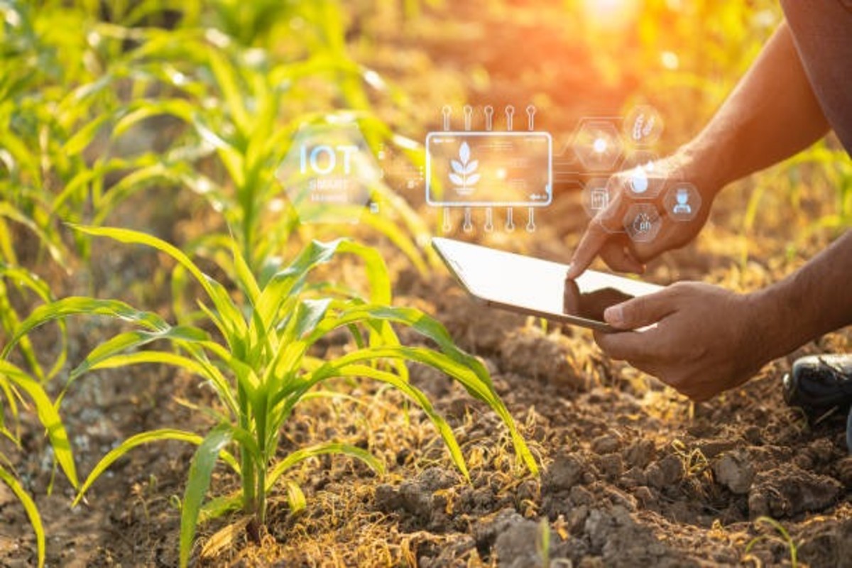 Ai In Agricultureai In Agriculture