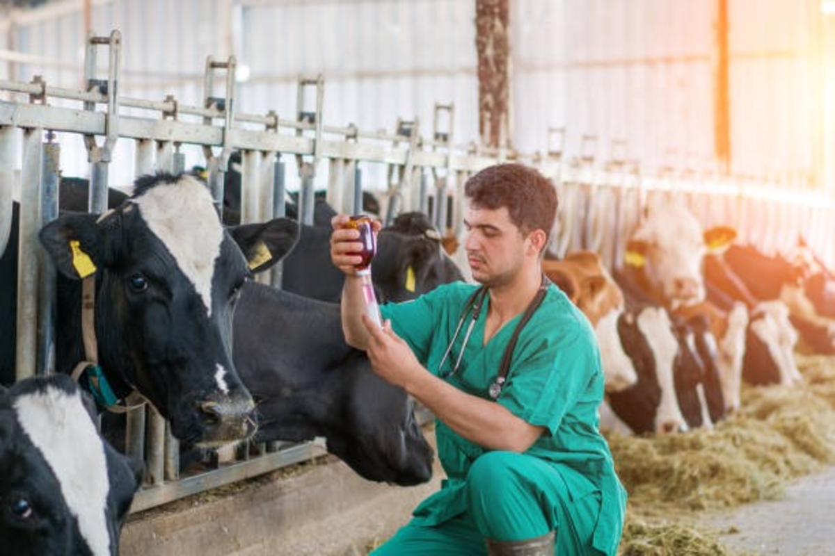 Animal Vaccination Schedule