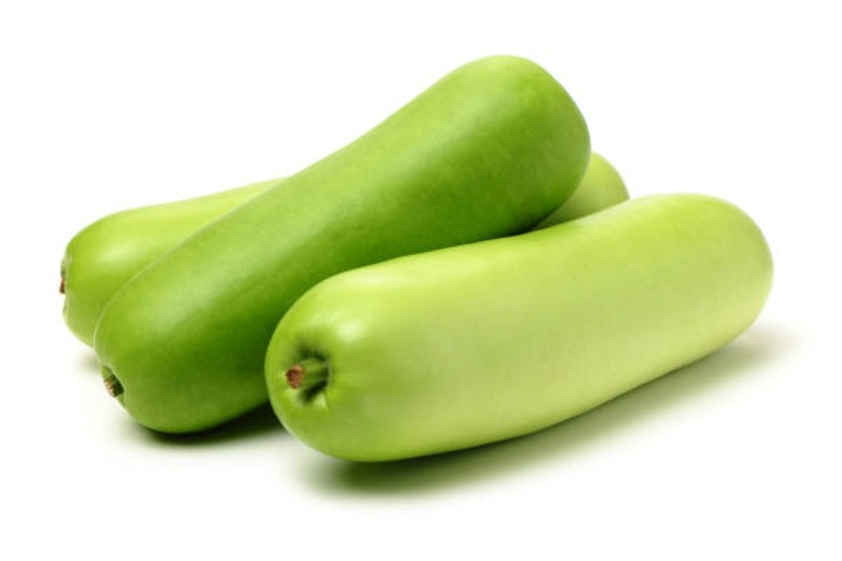 Bottle Gourd Farming