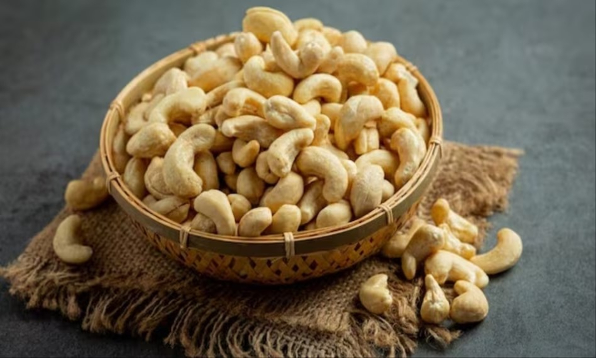 Cashew Export