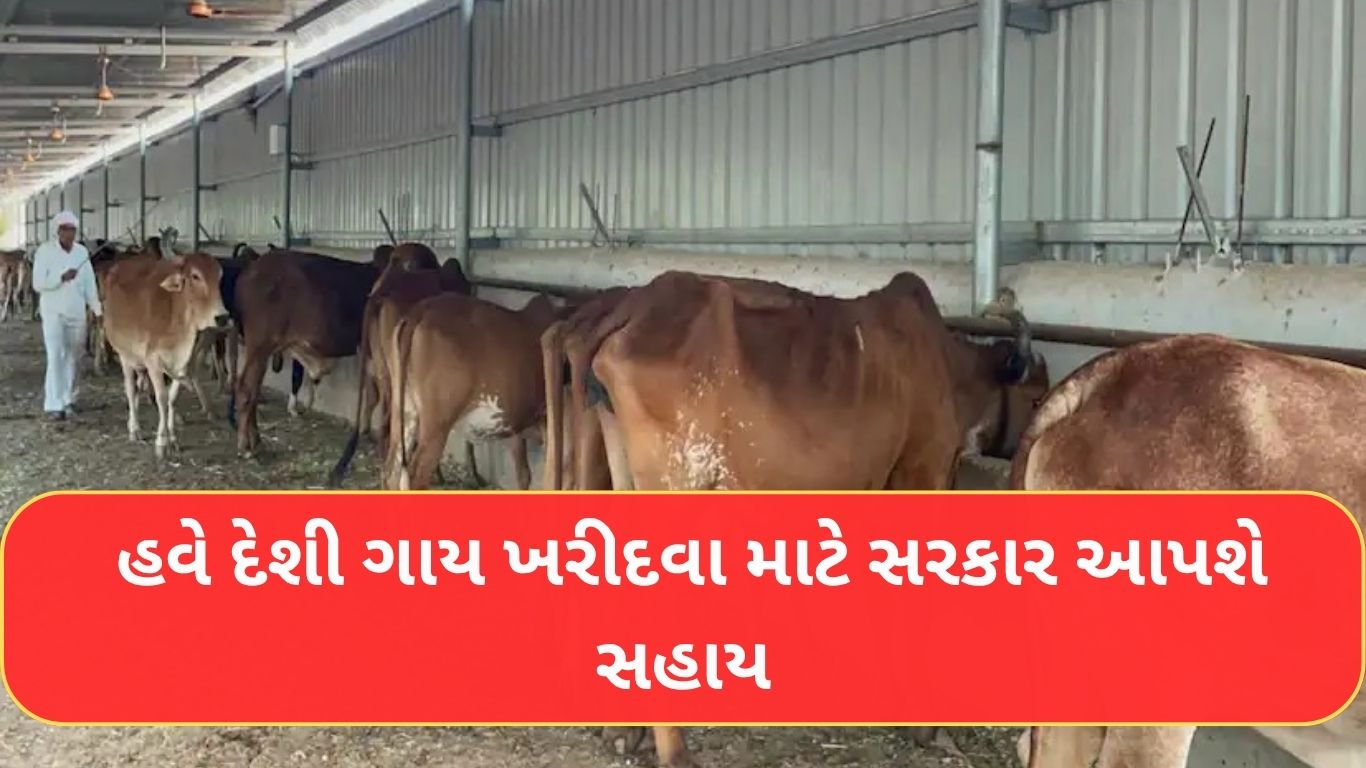 Desi Cow Purchase Subsidy Scheme Gujarat
