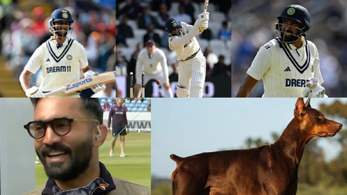 Dinesh Karthik Viral Video