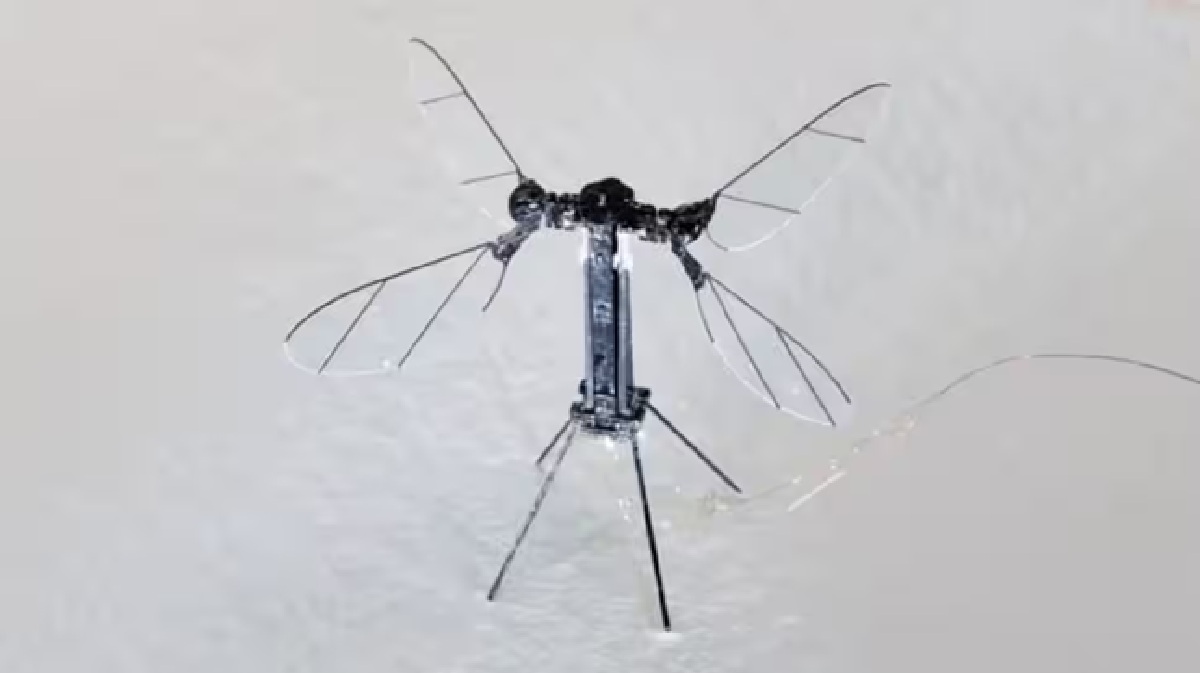 China'S Mosquito Drone