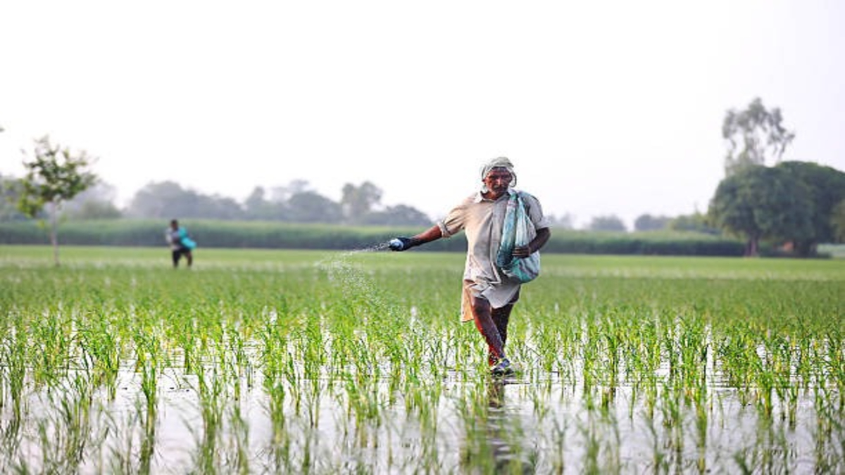 Farmer Income Shift In India 3 Satya Day