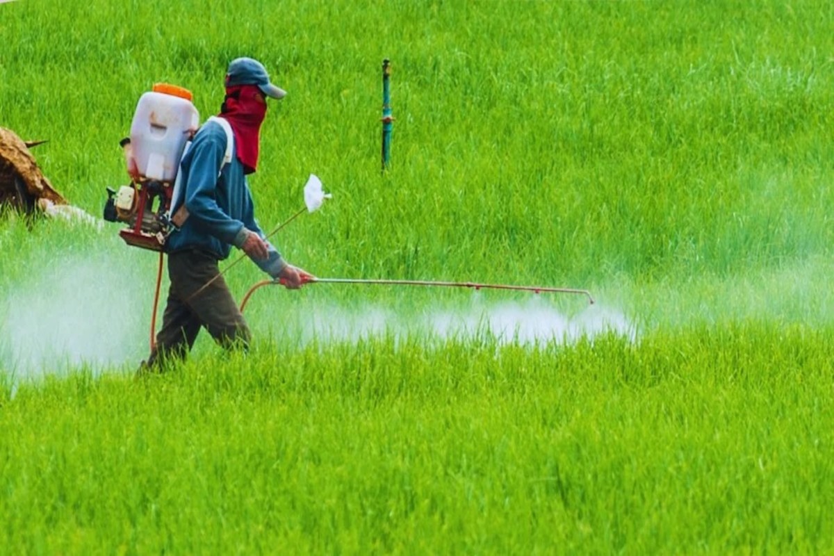 India Agrochemical Export