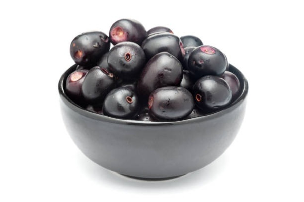 Jamun Farming In Monsoon