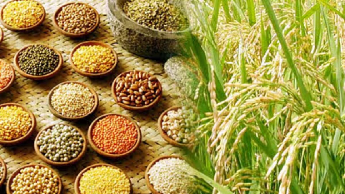 Kharif Crops